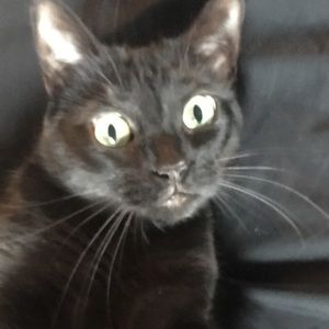 Meet your Posher, Rosita